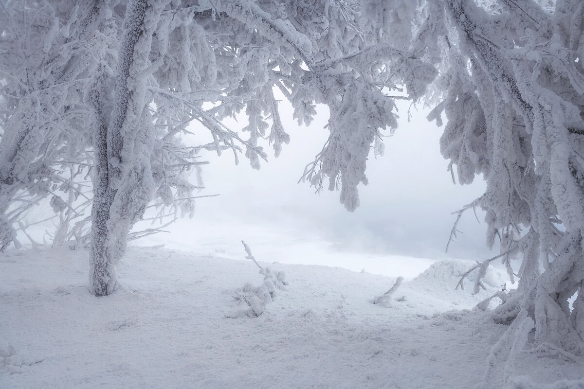 Зимняя арка - Марина Фомина.