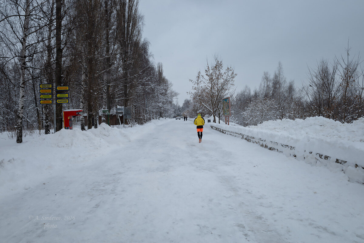 В городском парке зимой - Александр Синдерёв