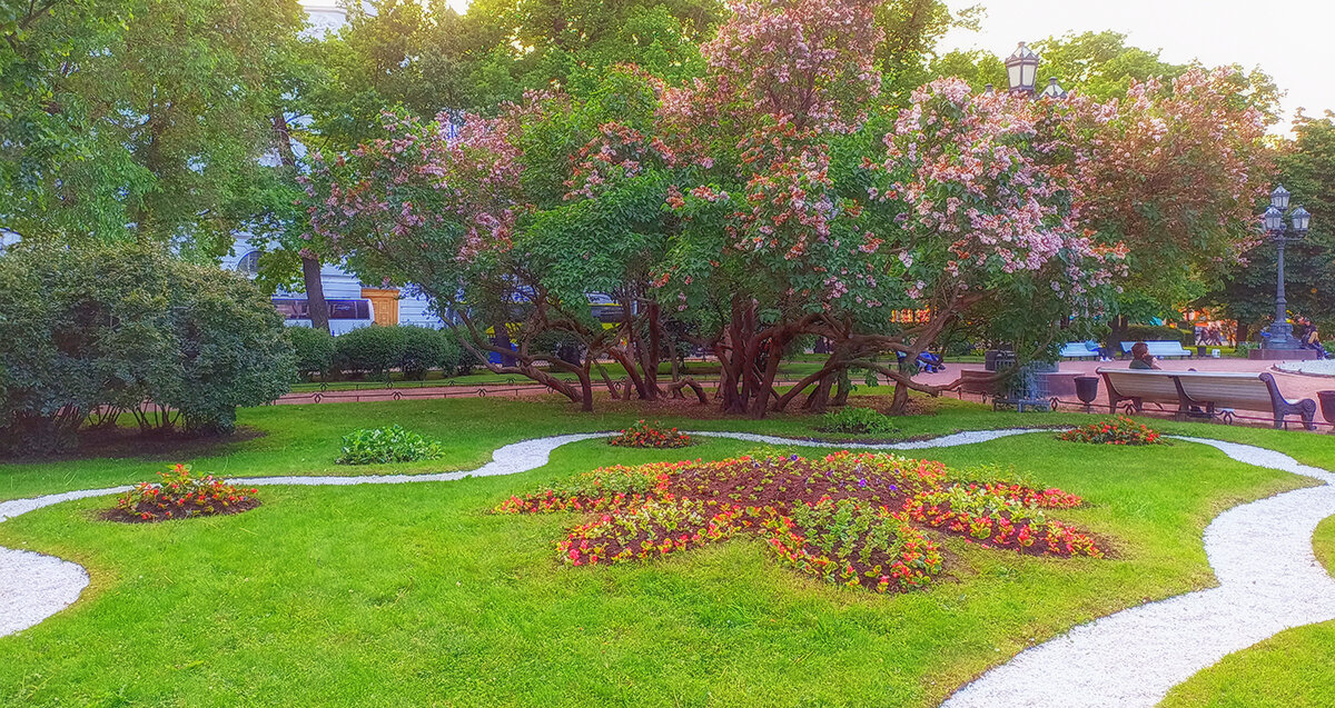 Цветёт сирень в "катькином садике". СПб. - Лилия *