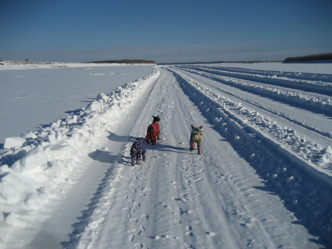 Зимник на протоке - Anna Ivanova