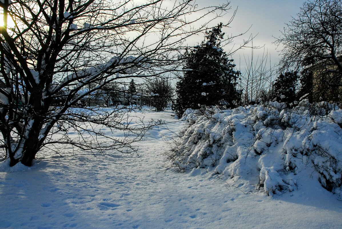Январь. - Владимир 