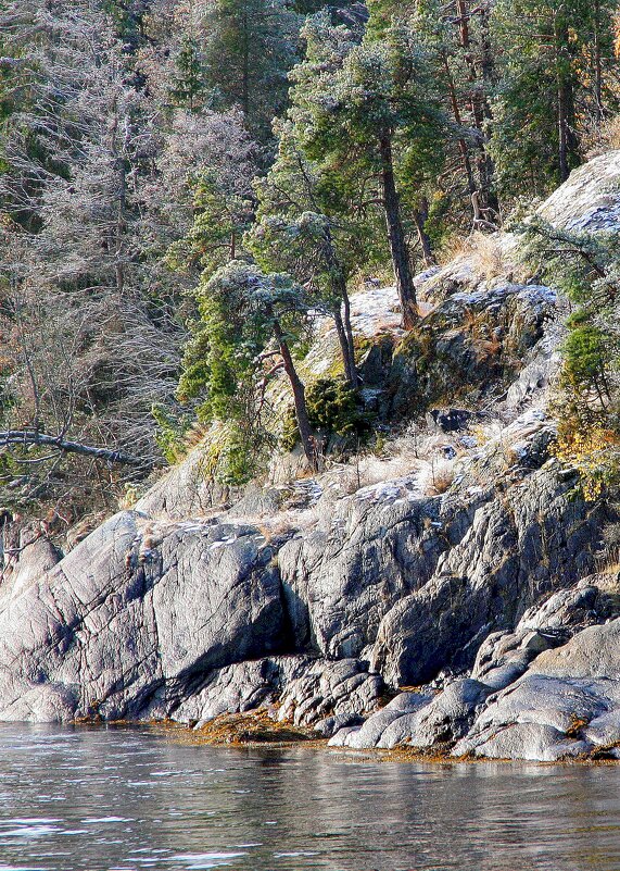 Подбило первым морозцем - В.И 