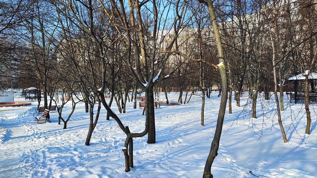 ,,, - Сергей Тимоновский