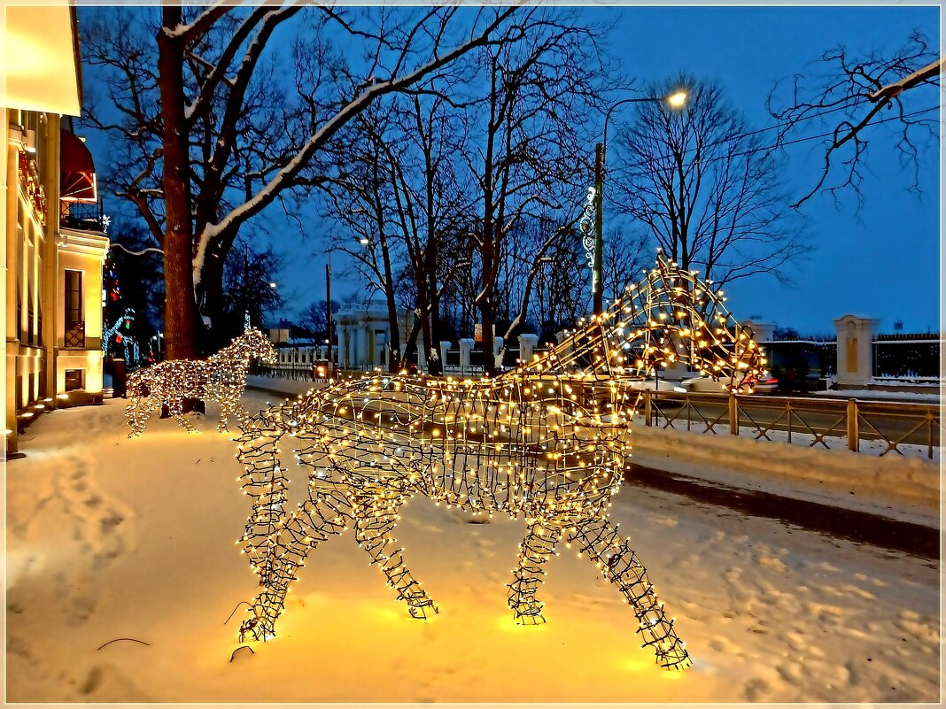 Световые коняшки. - Лия ☼