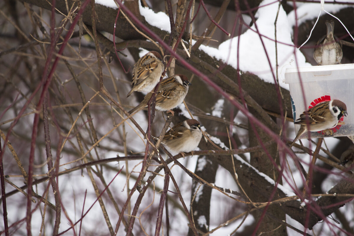 Сидим и ждем - Алексей Булак