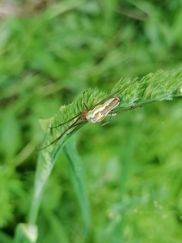 *** - Зоя Мишина