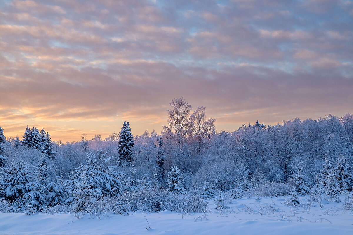 На закате. Зимние сумерки. - Андрей Дурапов