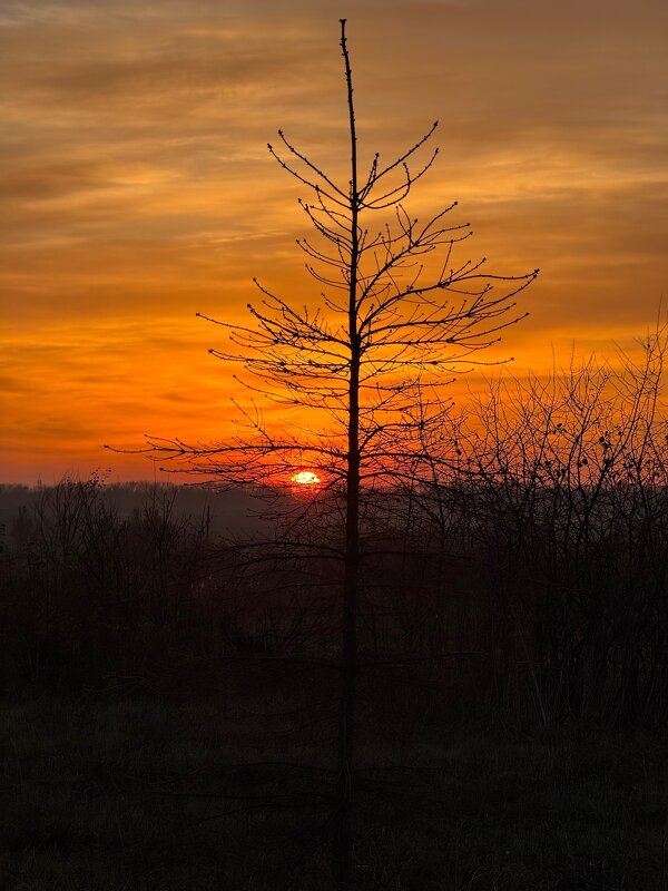 *** - Яна Горбунова