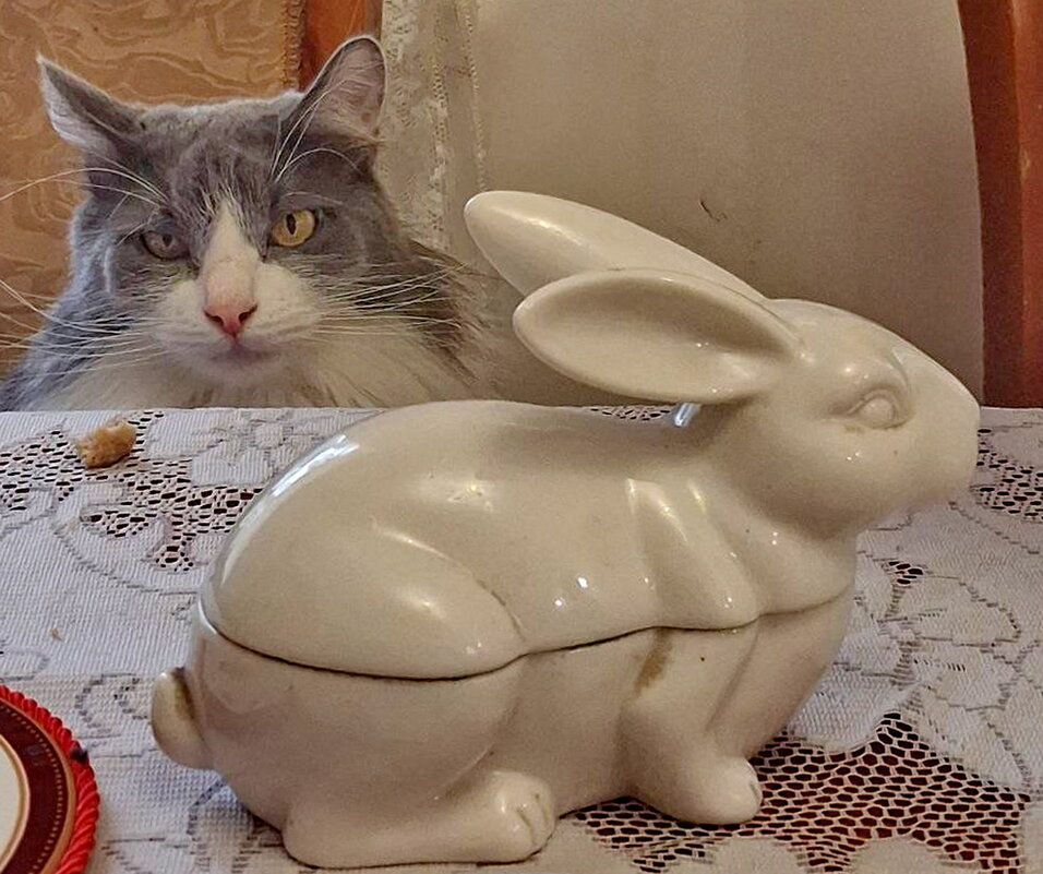 Празднуем Рождество - Александр Чеботарь