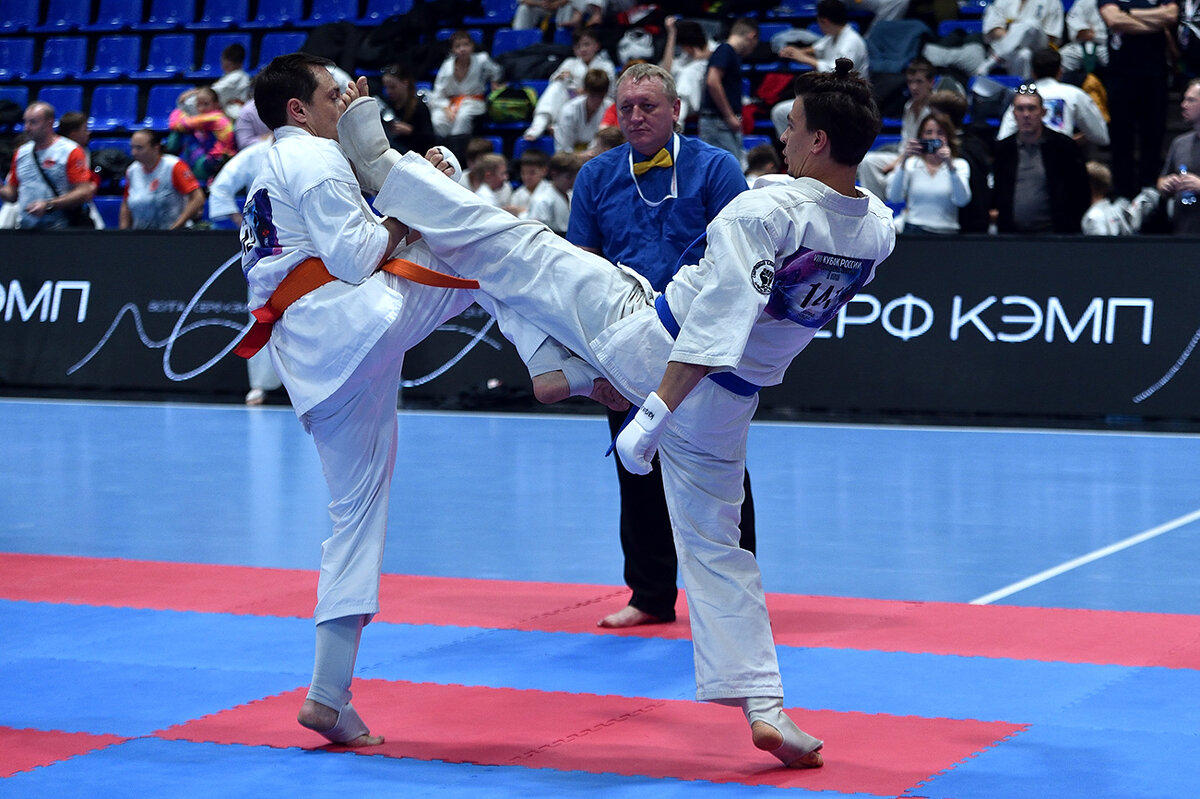 Победный удар! - Александр Гриднев