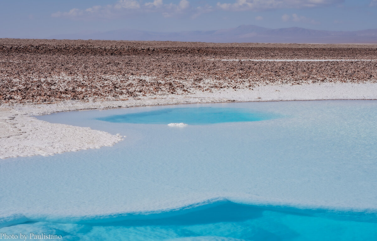 В соляной пустыне... - Владимир Жданов