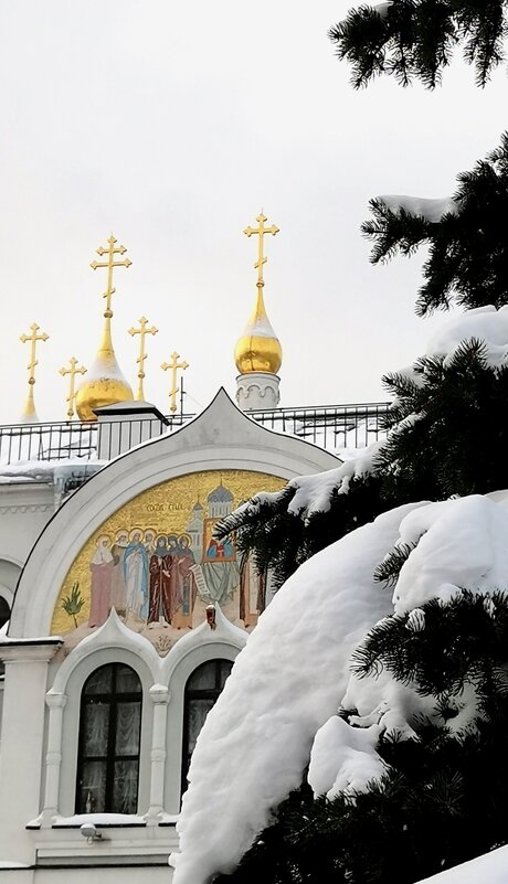 *** - Любимова Ольга 