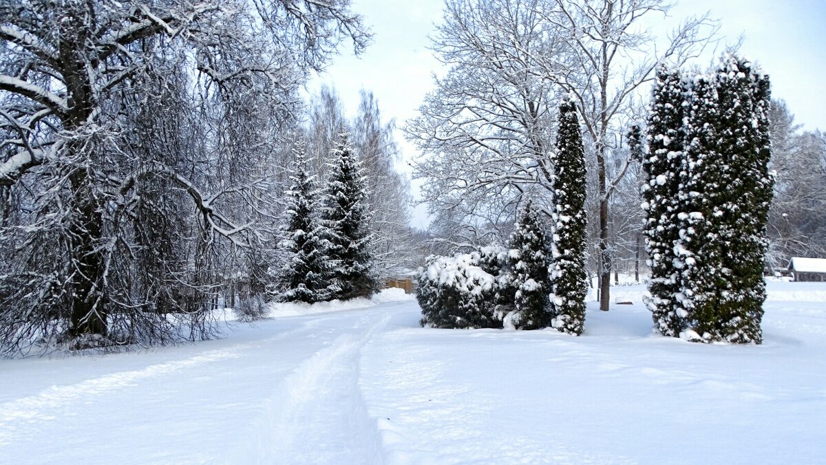 Зима в деревне. - Милешкин Владимир Алексеевич 