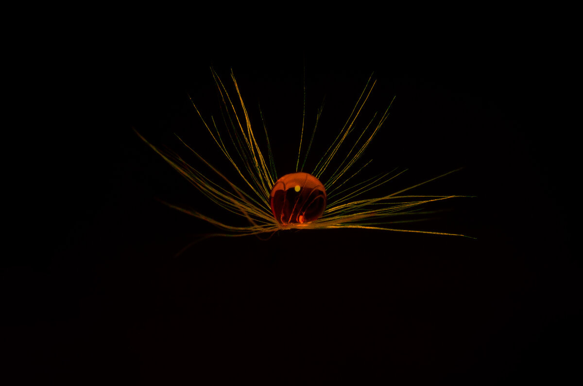 *** - Виктор Иванович Чернюк