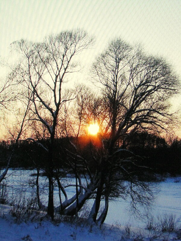 Январским вечером - Людмила Смородинская