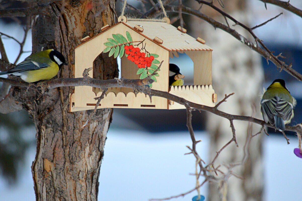 В очереди за кормом - Татьяна Лютаева