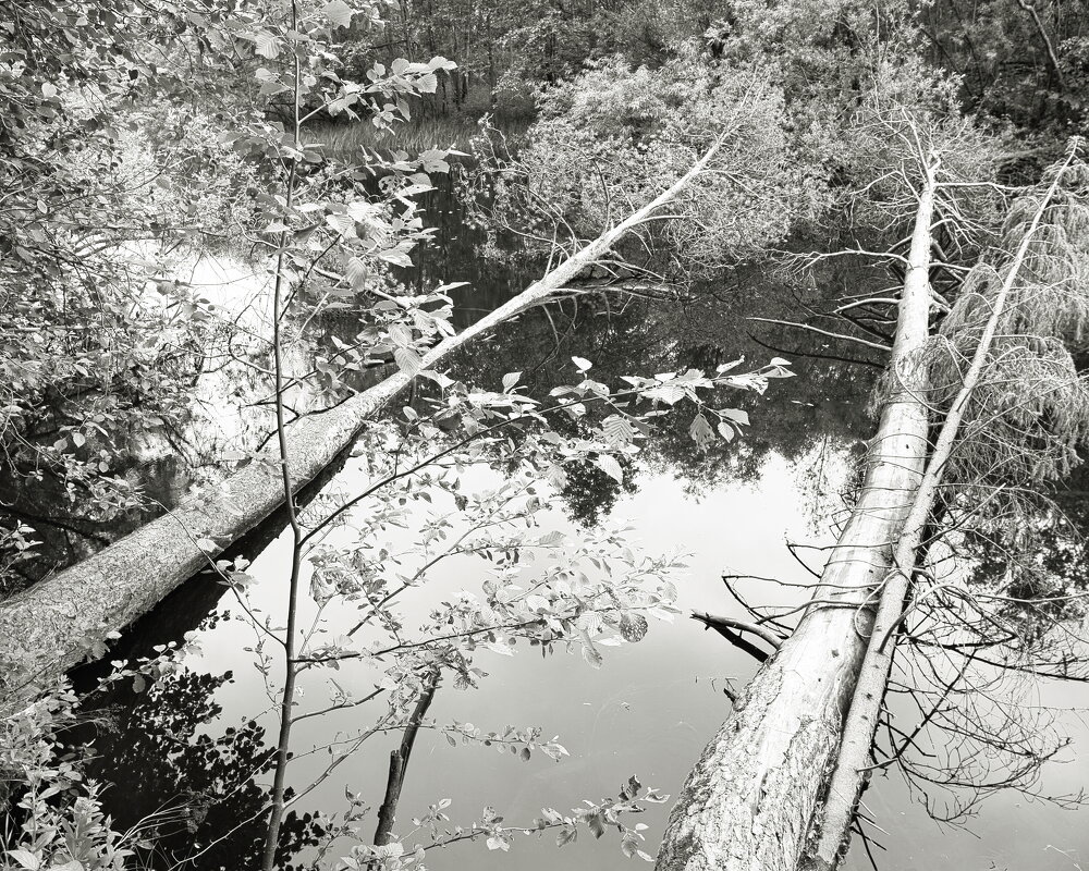 Фотография - Денис Безногов