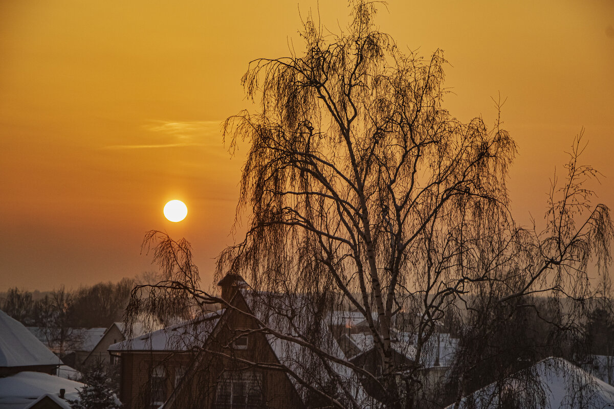 Январское солнце. - Петр Беляков