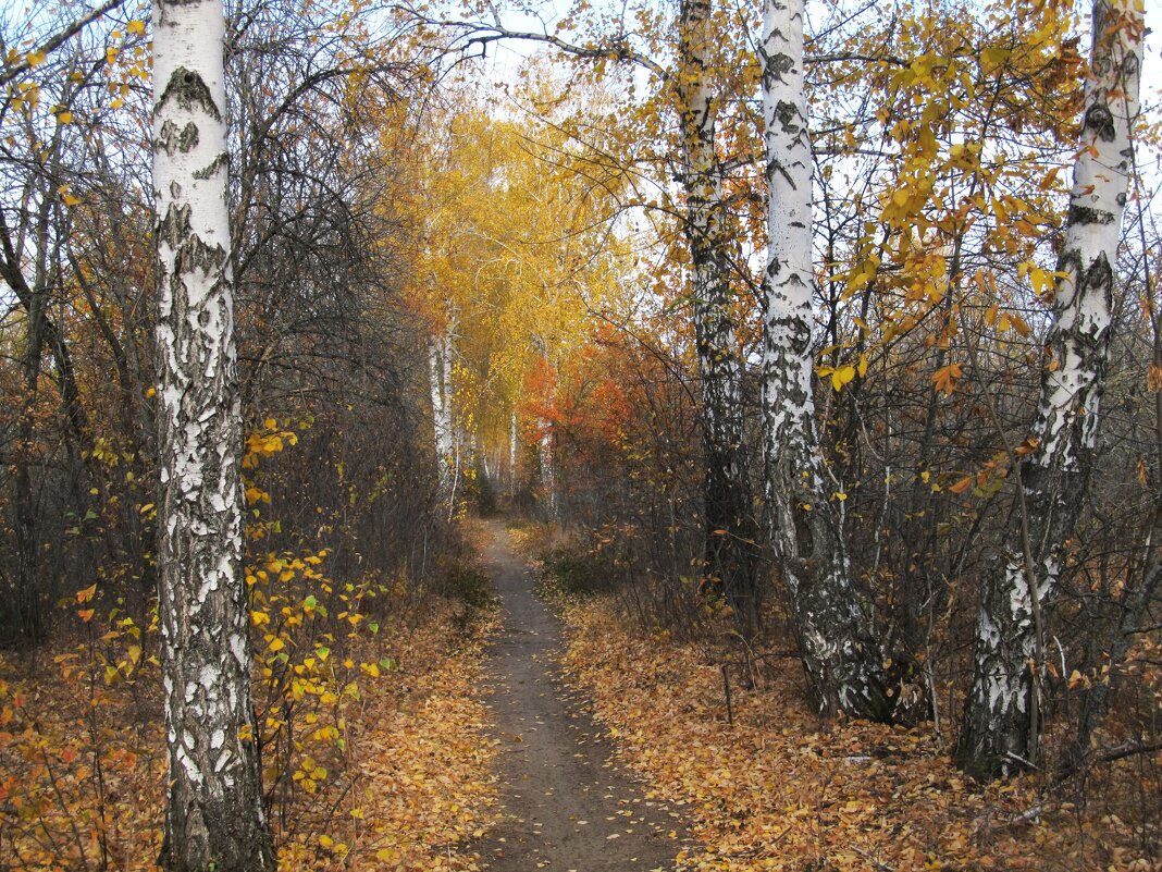 импрессионизм - Елена Шаламова