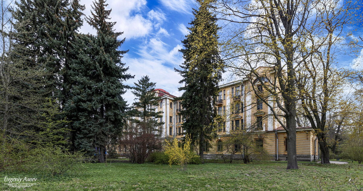 Прогулки по Ботаническому саду - Евгений 