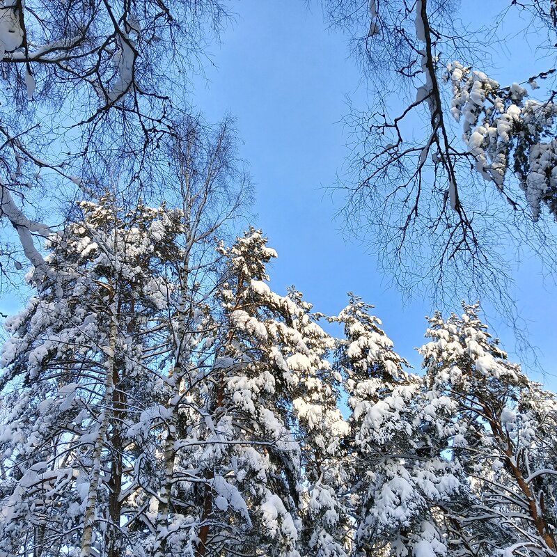 высоко забрались - Владимир 