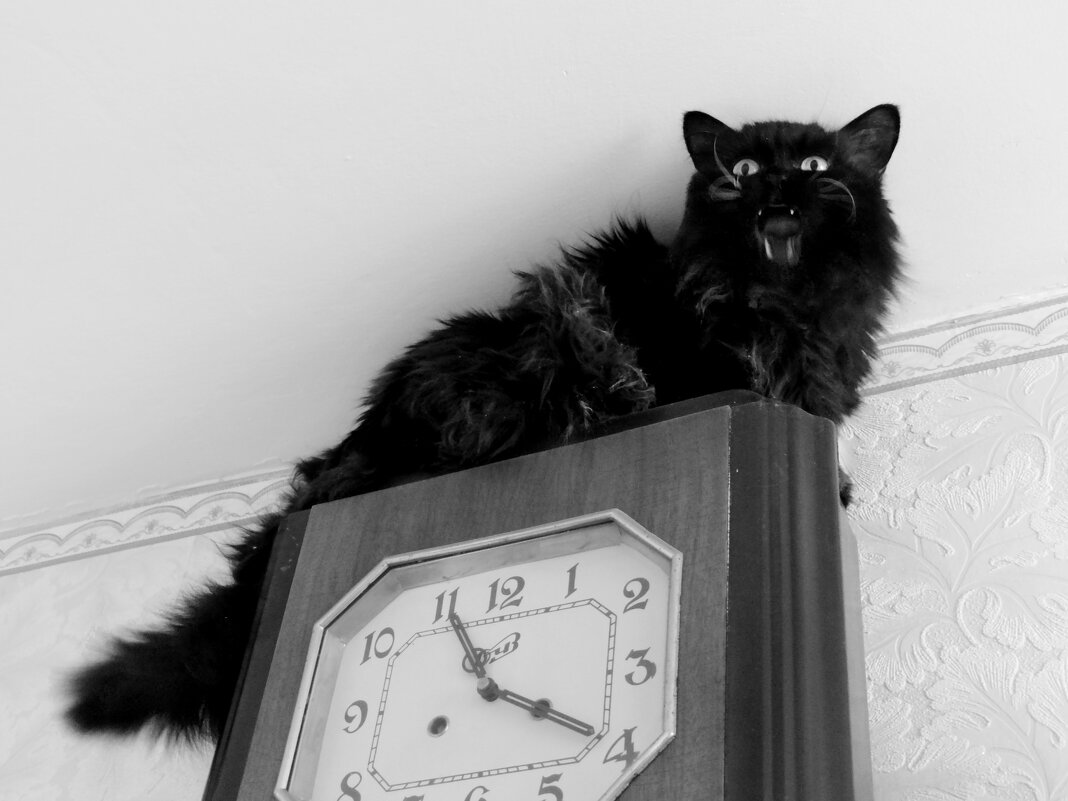 Часовщик - Maria Rainer