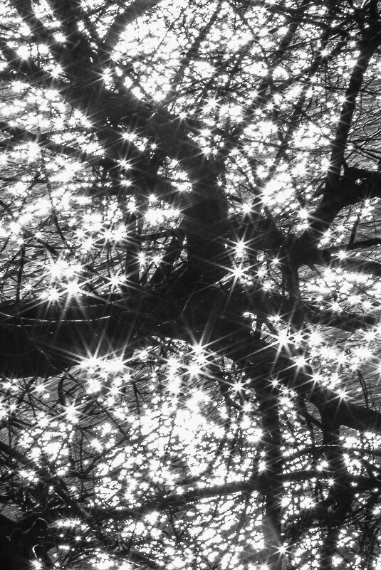 *** - Сергей Полянский