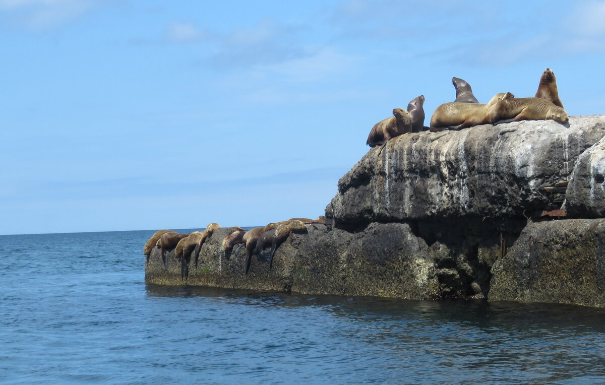 Релакс - ИРЭН@ .
