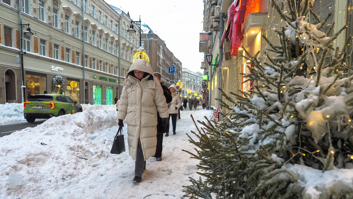 Снегом Занесённая - юрий поляков