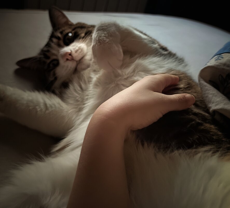 ... - ВЛАДИМИР 