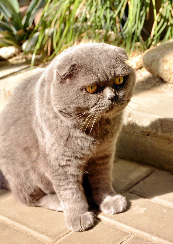 На страже - Леонид Иванчук