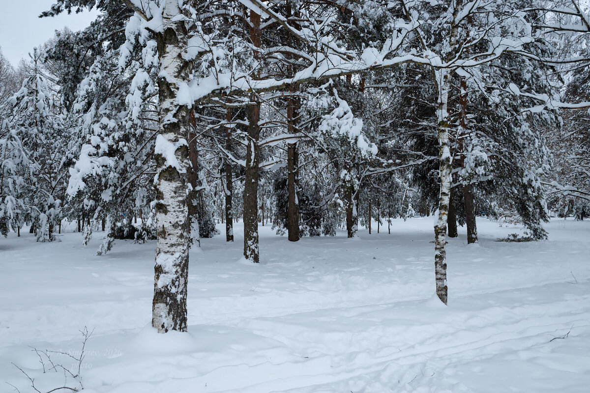 Снежный пейзаж - Александр Синдерёв