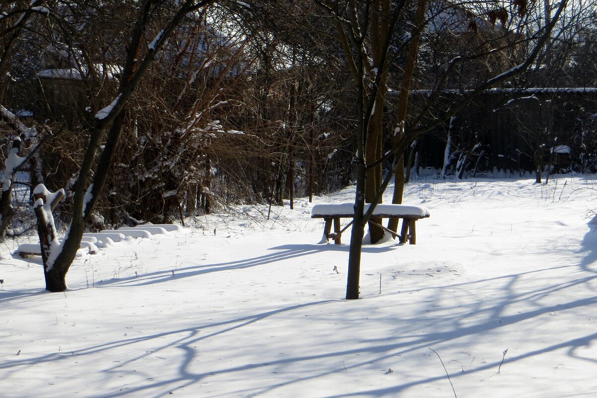 Снежная перинка в саду - Татьяна Смоляниченко