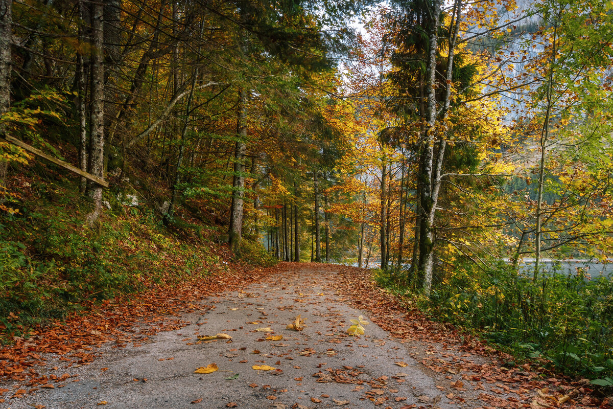Осень - Владимир Колесников