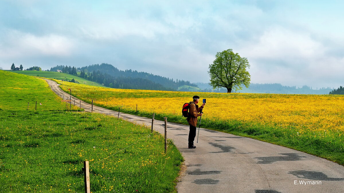 spring - Elena Wymann