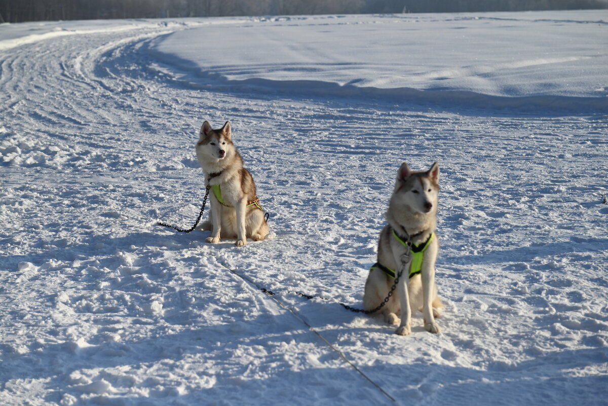 Ожидание... - Митяй Митрич