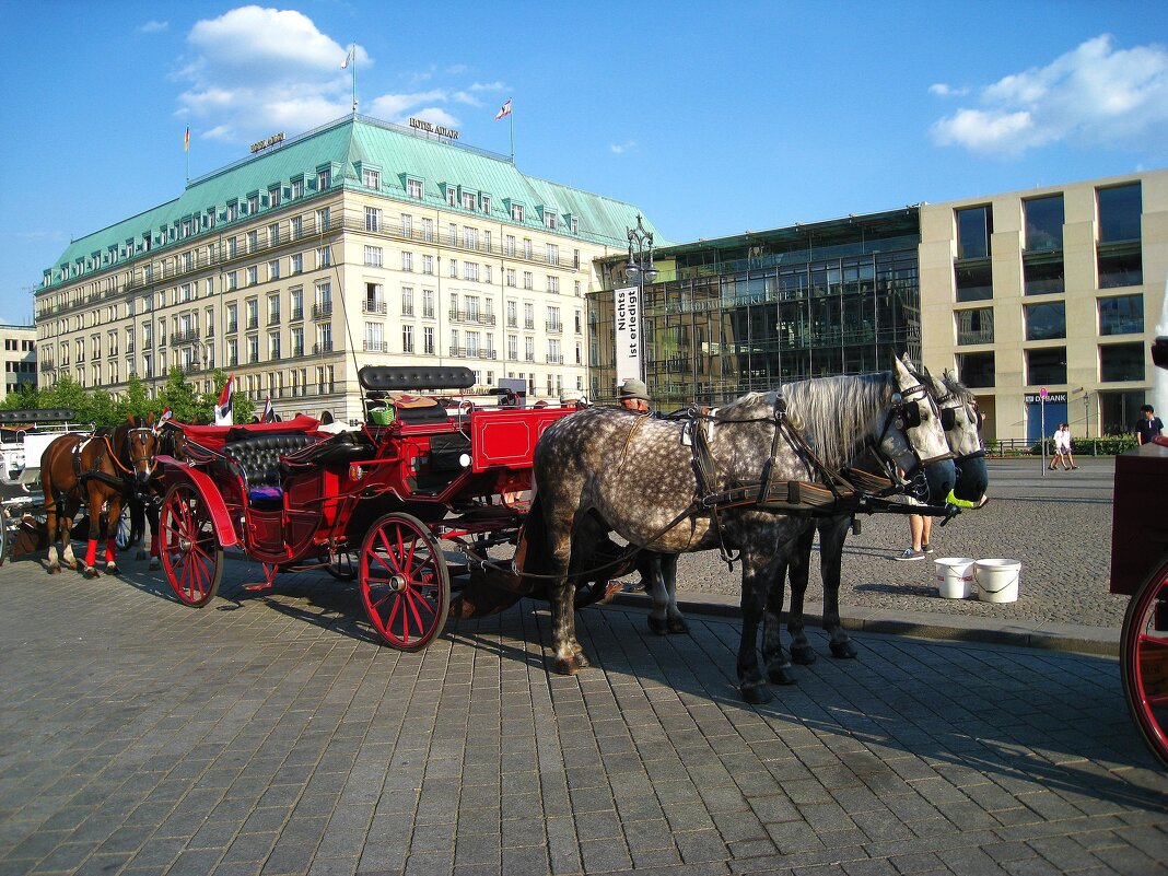 Кони в яблоках. - unix (Илья Утропов)