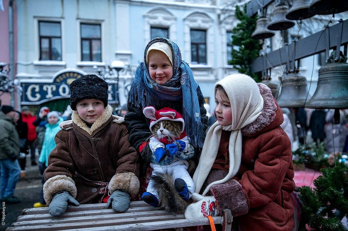 Барсик на новогодних мероприятиях! - Нина Андронова