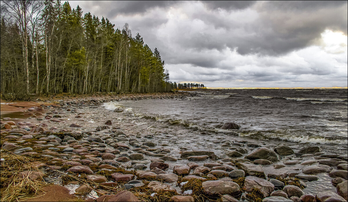 *  *  * - Андрей Бобин