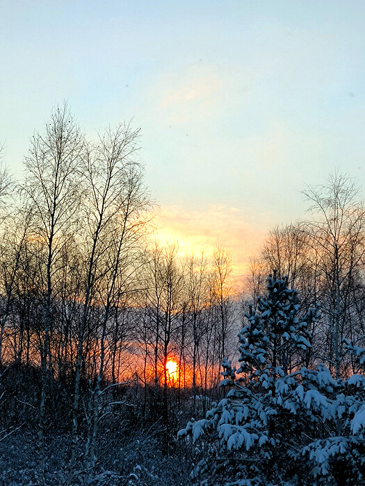 Январский закат - Елена 