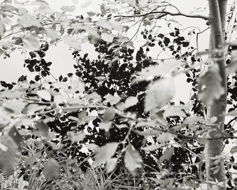 Фотография - Денис Безногов