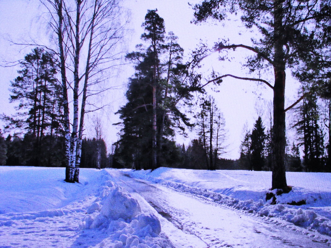 Зима - Людмила Смородинская
