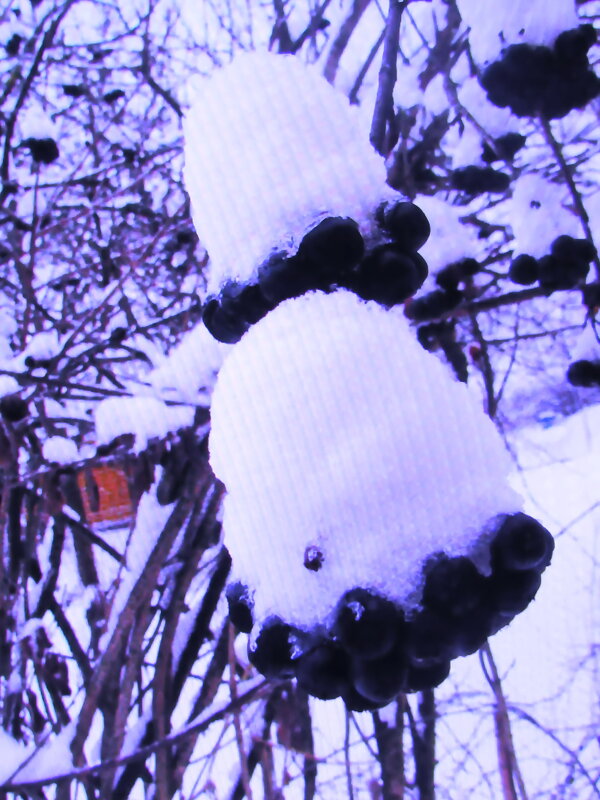 В шапочках - Людмила Смородинская