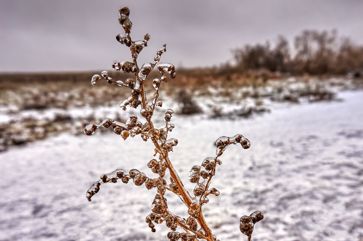 В ледяном плену... - Ravile 