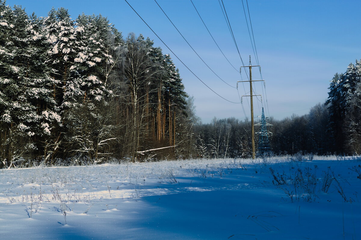 морозный денек - Артём 