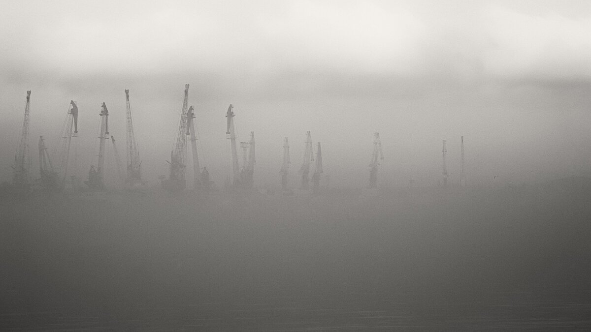 Тумана зимнего визит. - Анатолий Щербак