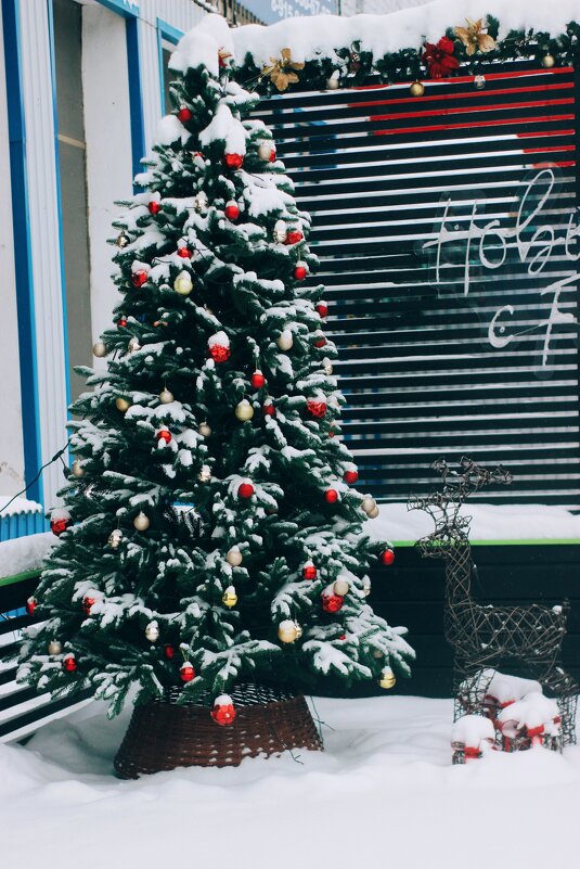 Кафе феник - Светлана Мишенёва