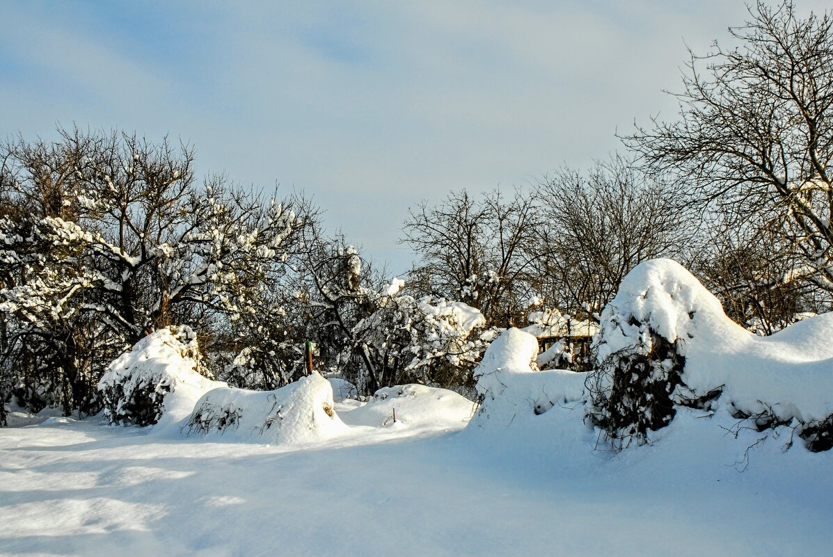 Январь. - Владимир 