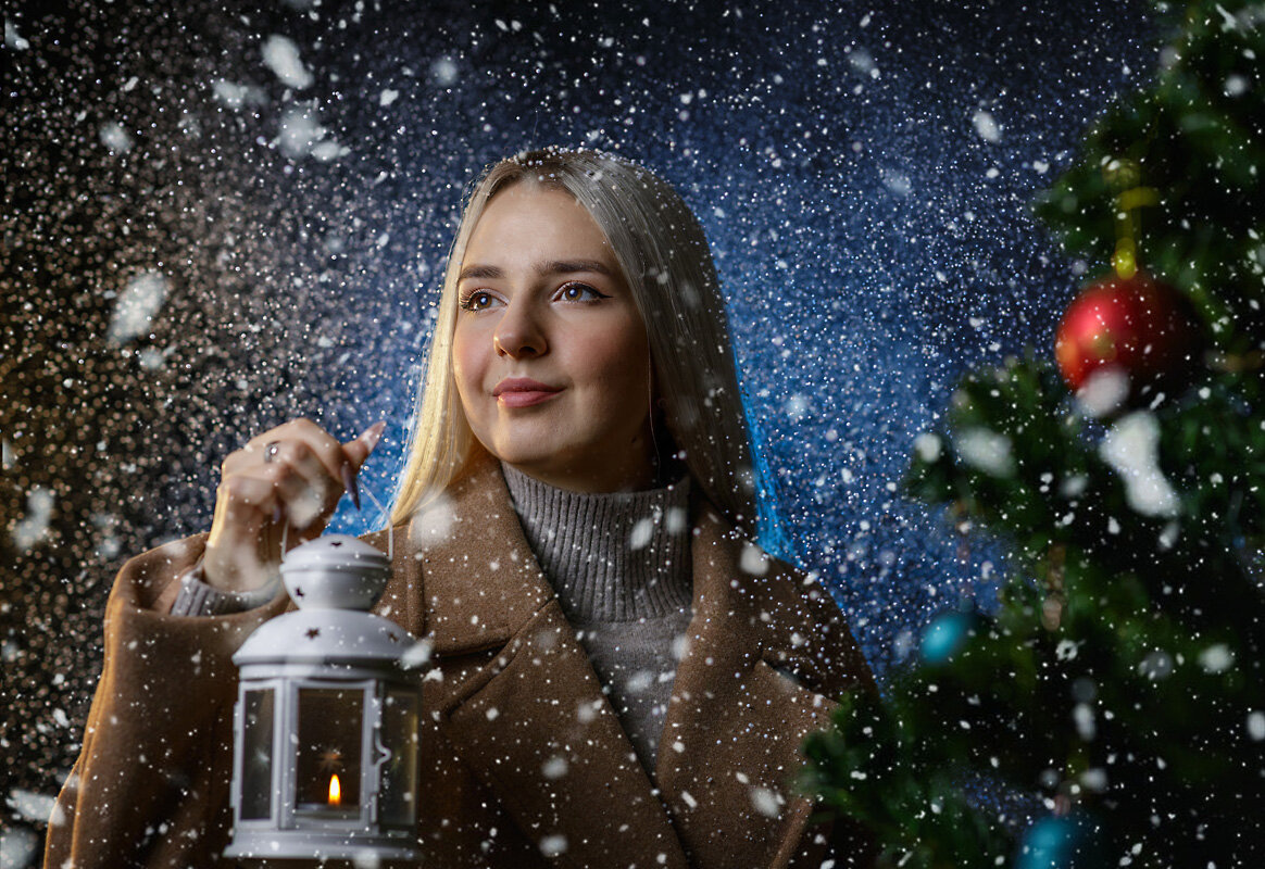 Новогоднее фото - anatoly 