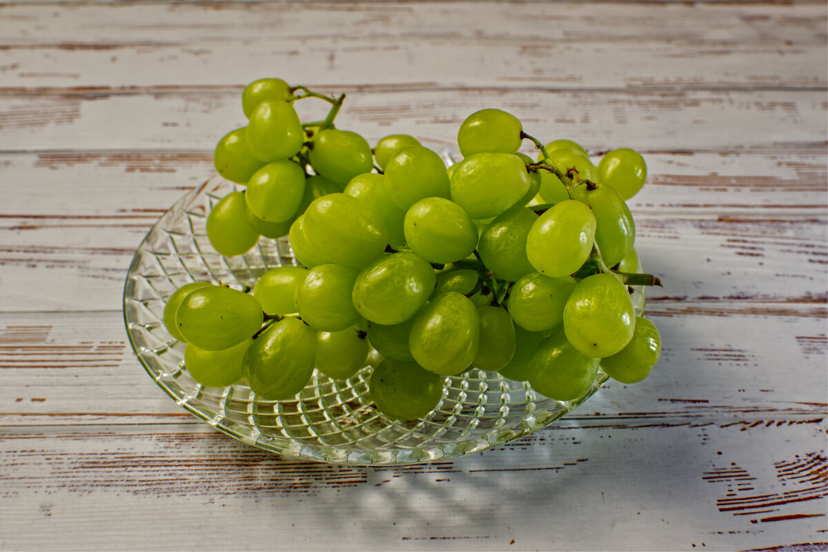 (°-°) - Jakob Dick